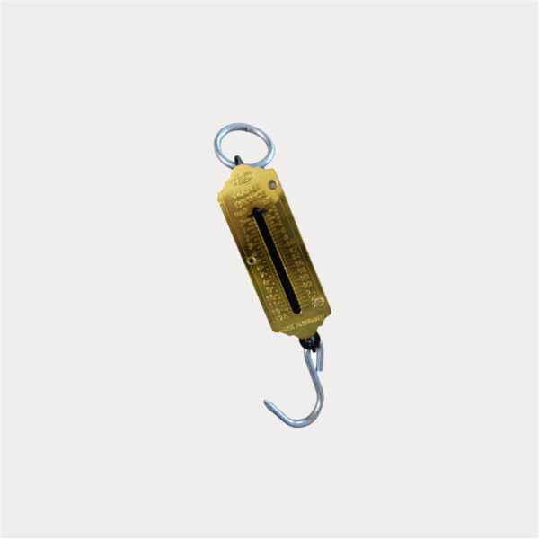 Scale Brass Pocket