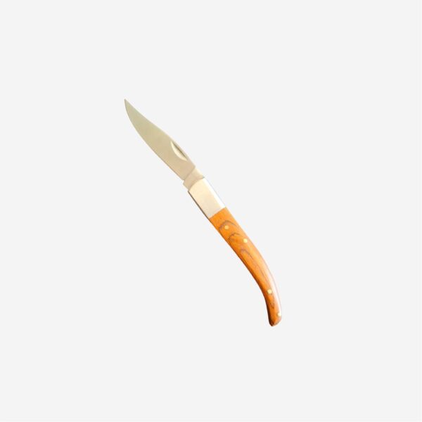 Pocket Knife 7cm Blade